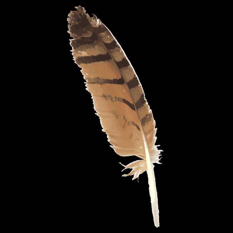 Owl Feather - Bird Feather