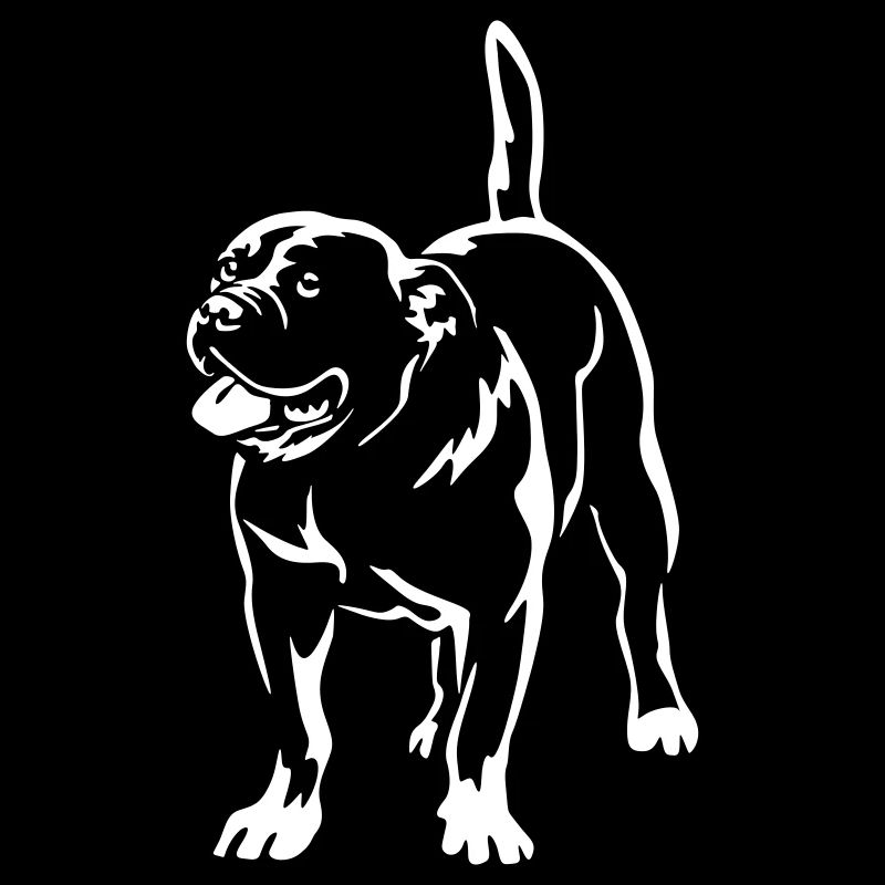 Perro Dogo Mallorquin "Black Edition"