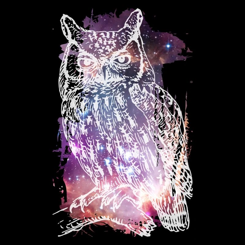 Die kosmische Eule
