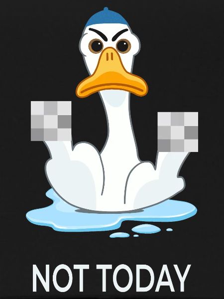 Not Today – Funny Duck Mood