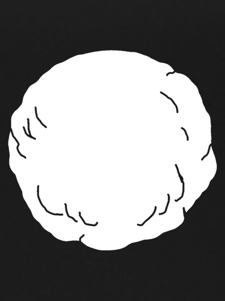 Perfect snowball