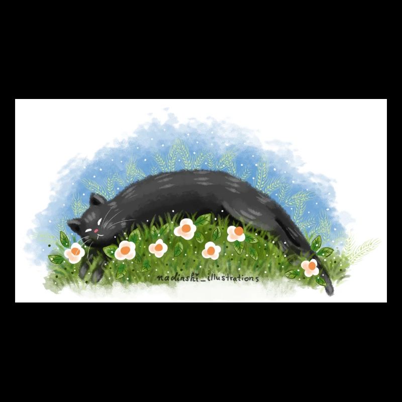 Cat sleeps