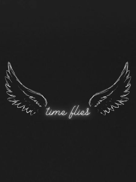 time flies