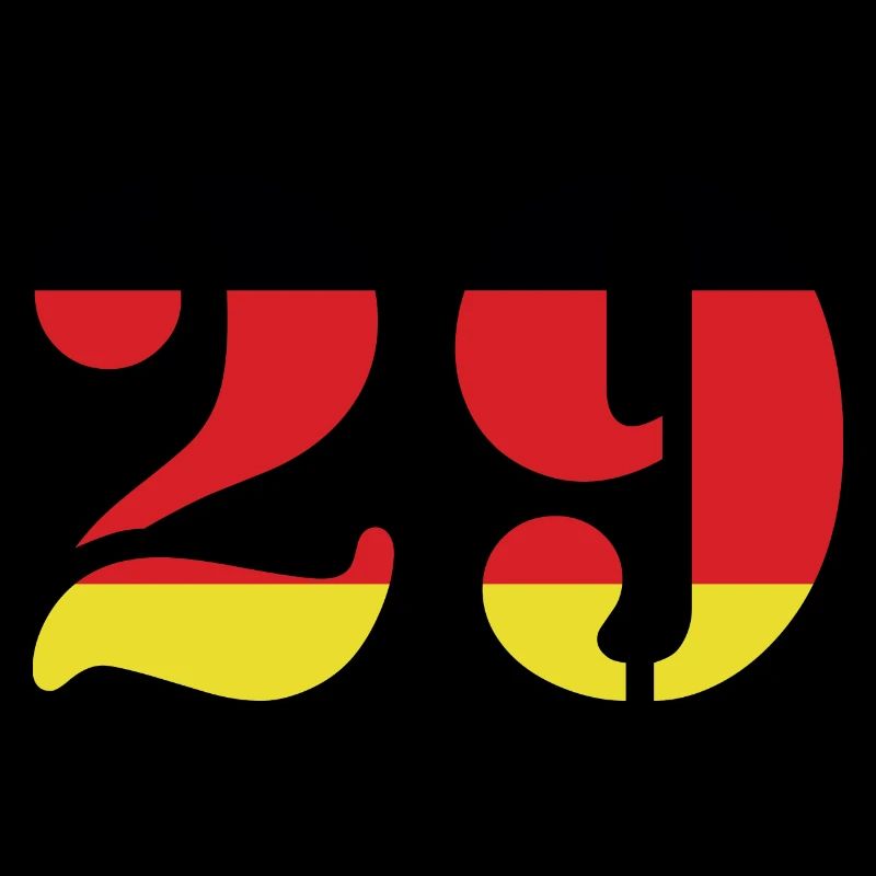 29 Number Jersey Germany