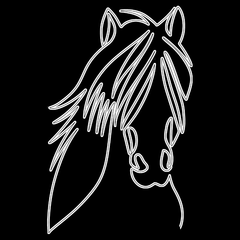 Beautiful horse head with wild mane