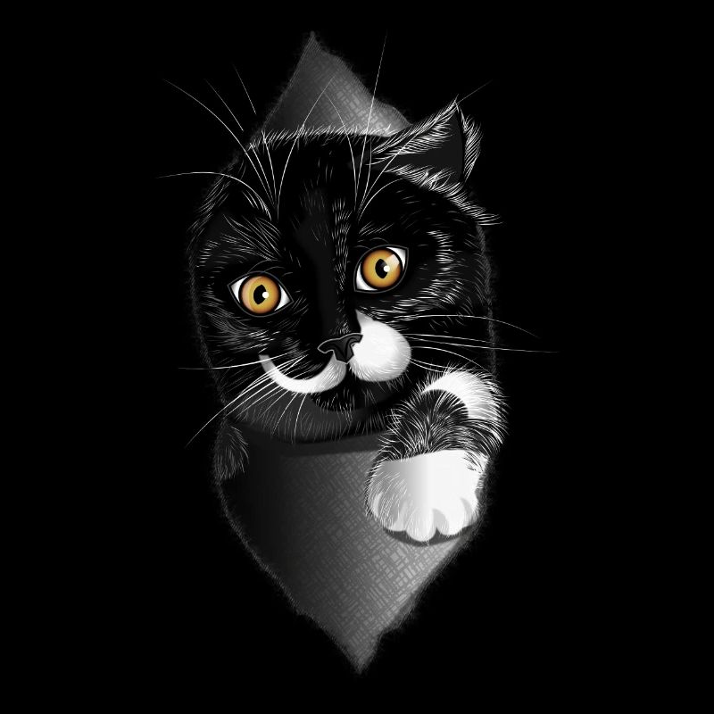 Katzenversteck