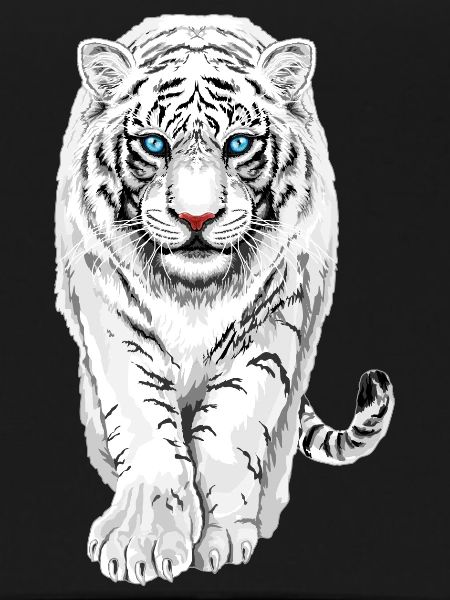 White Tiger