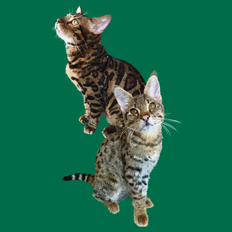 Tabby