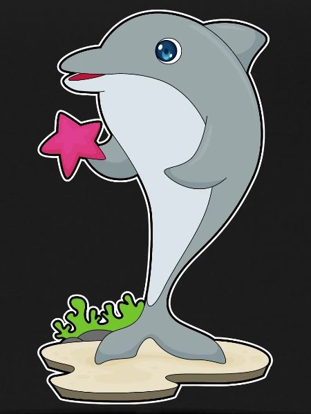 Dolphin Starfish