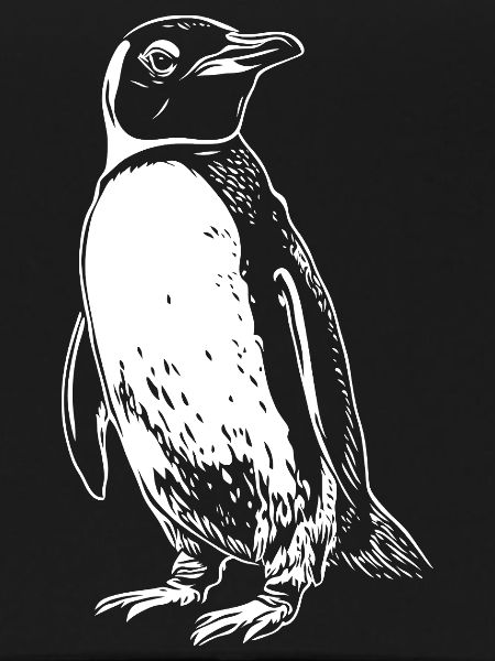 White Penguin Drawing