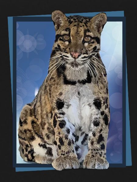 Clouded leopard