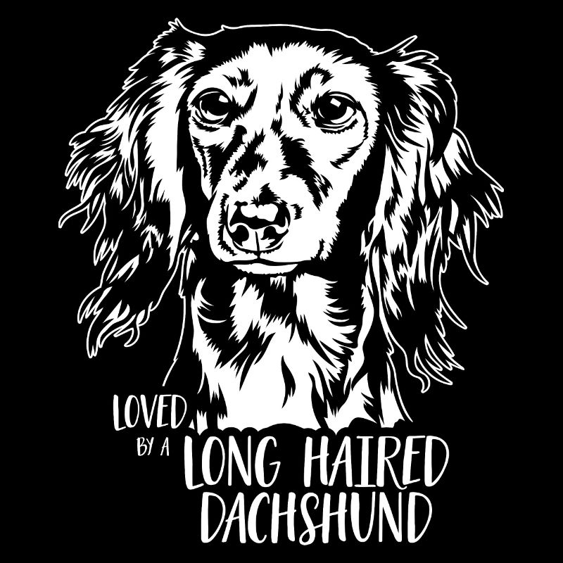 Loved by a Long Haired Dachshund Dog Wilsigns