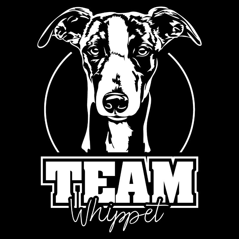 ÉQUIPE WHIPPET Chiens Lévriers Wilsigns