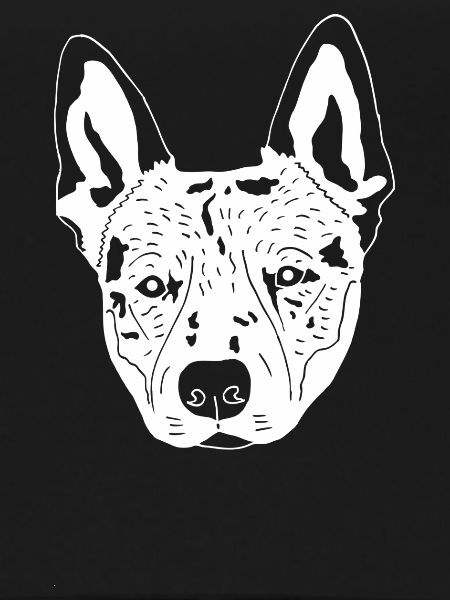 Cattledog