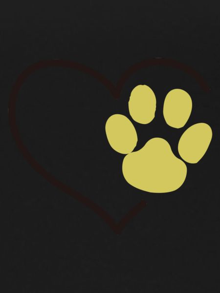 Love paws