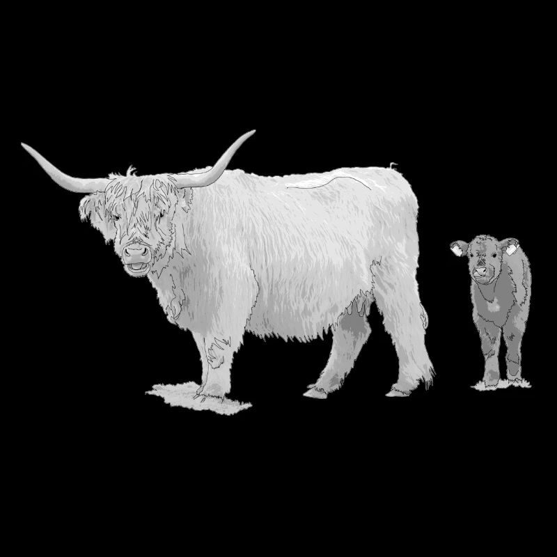 Schottisches Hochlandrind mit Kalb