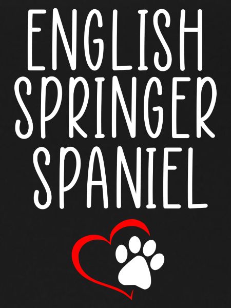 Citation springer anglaise