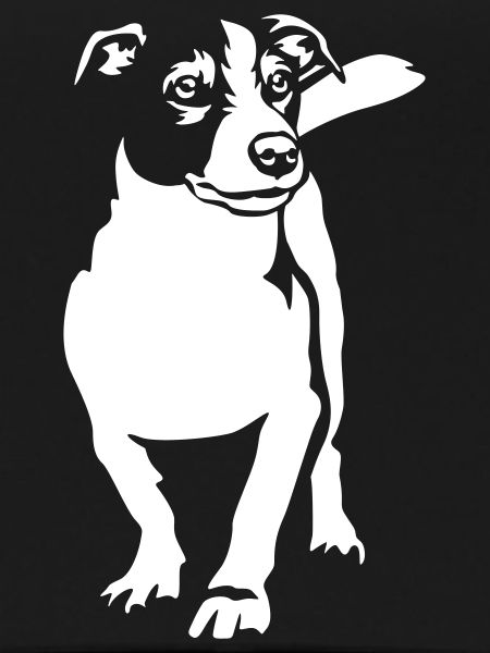 Jack Russell Terrier "Black Edition"