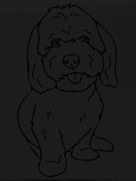 chien