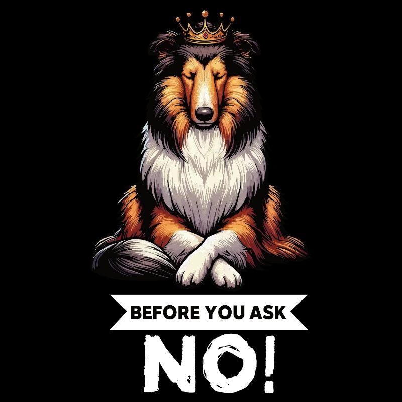 Avant de demander Collie, Collieowner Collie, Collie.