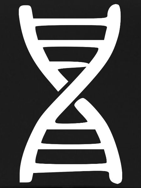 DNA Genetic Engineering Research Gift