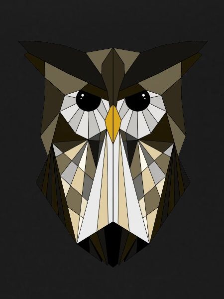Owl geometric