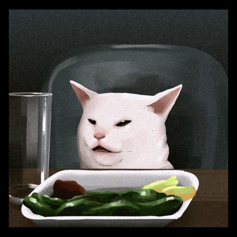 same cat