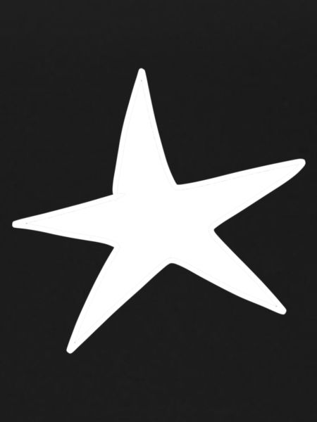 Star pattern icon