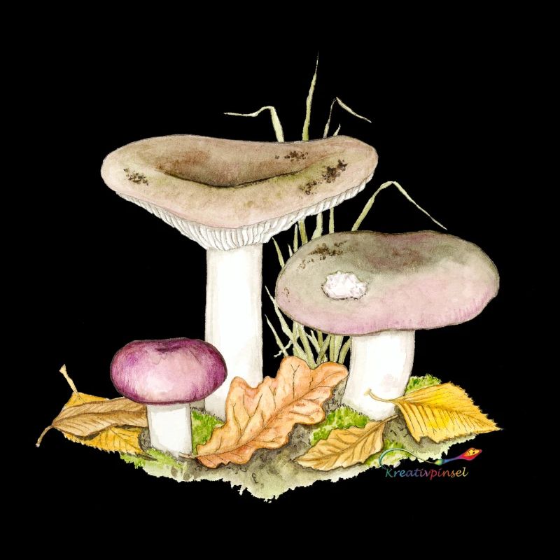 Russula cyanoxantha