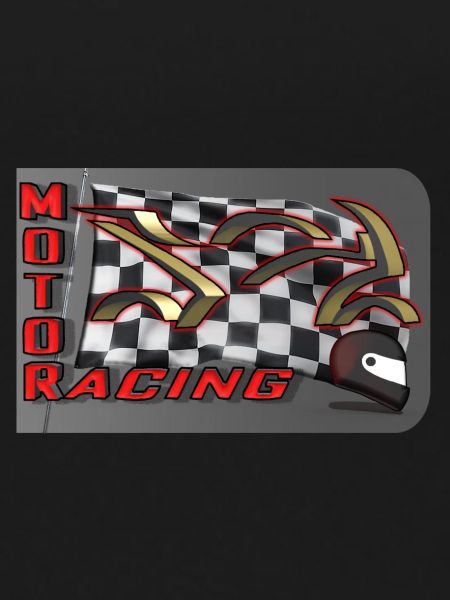 MOTOR RACING