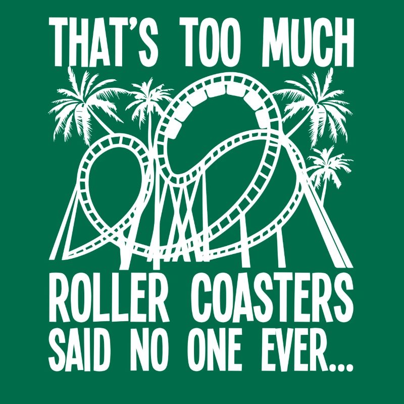 Parc d’attractions Roller Coaster