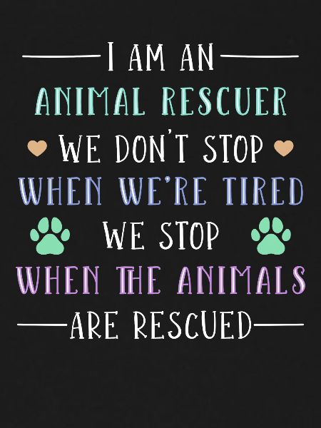 Dog adopts animal welfare