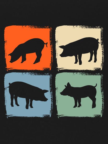 Pig