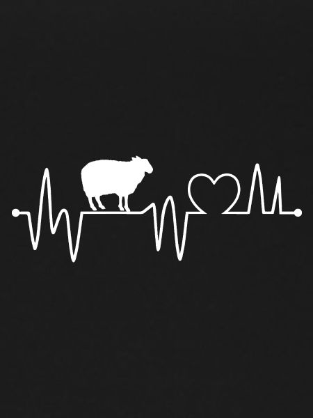 Shepherd Sheep