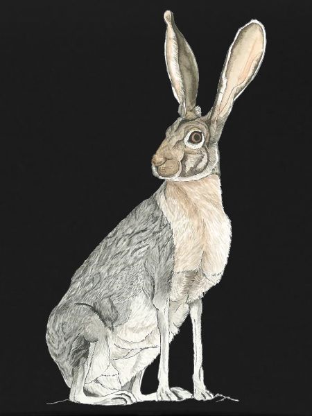 Rabbit with long spoons