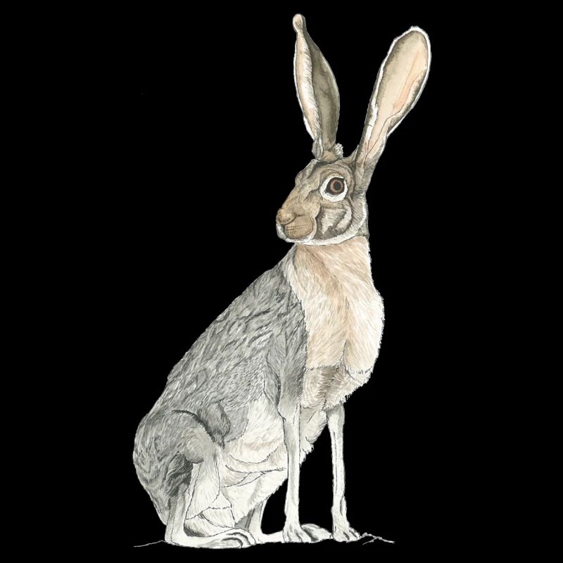 Rabbit with long spoons