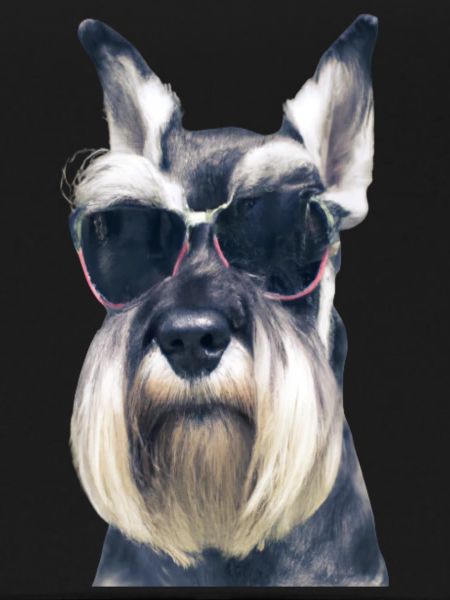 Miniature Schnauzer