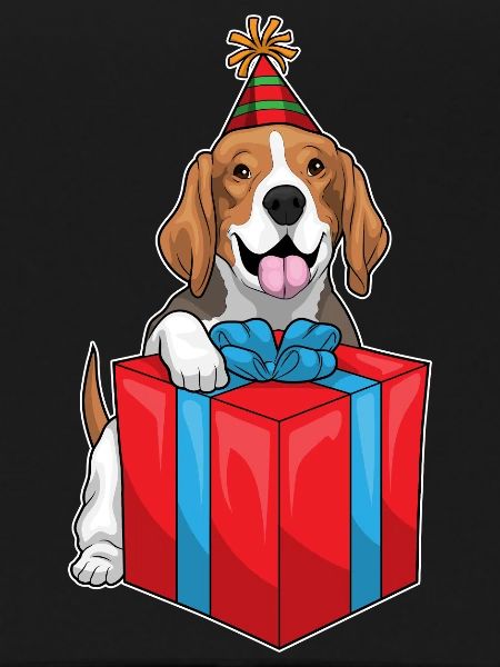 Beagle Birthday Package