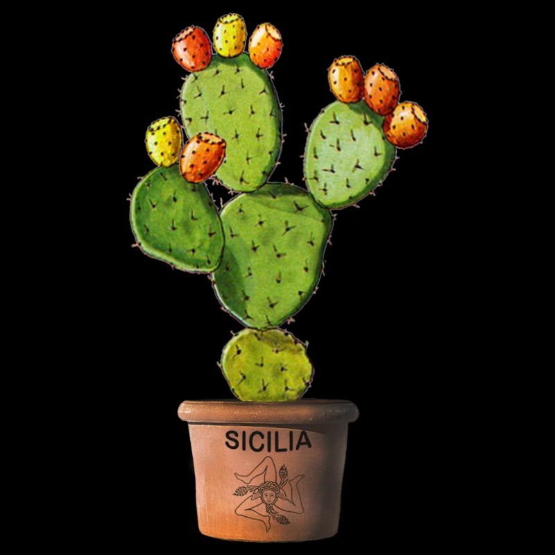 Sicily prickly pear in pots