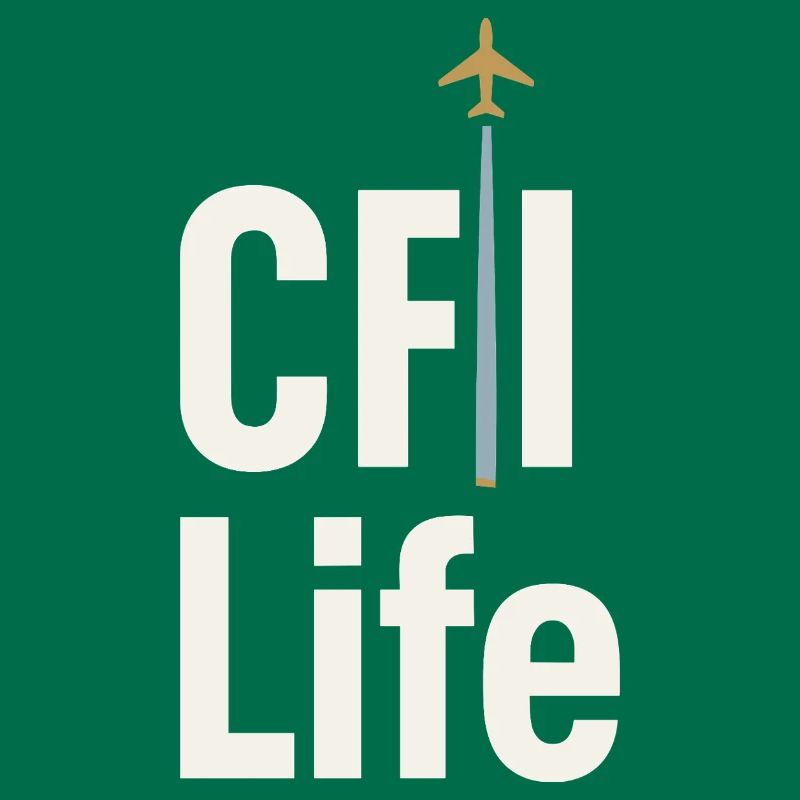 Flight Instructor Cfi Pilot Aviation Instructor