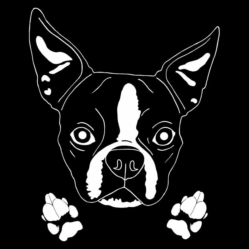 Boston Terrier