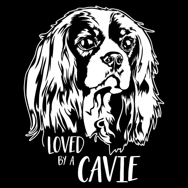 Cavalier King Charles Spaniel loved by a Cavie