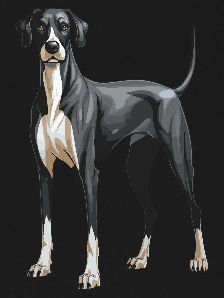 Great Dane Dog