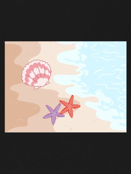 Summer beach starfish and shells