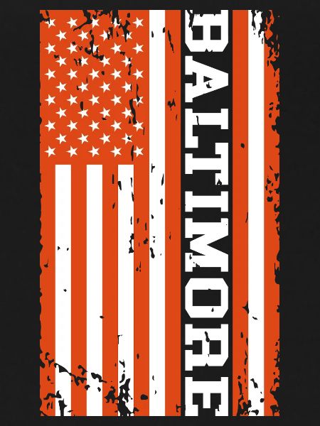 Baltimore US Flag