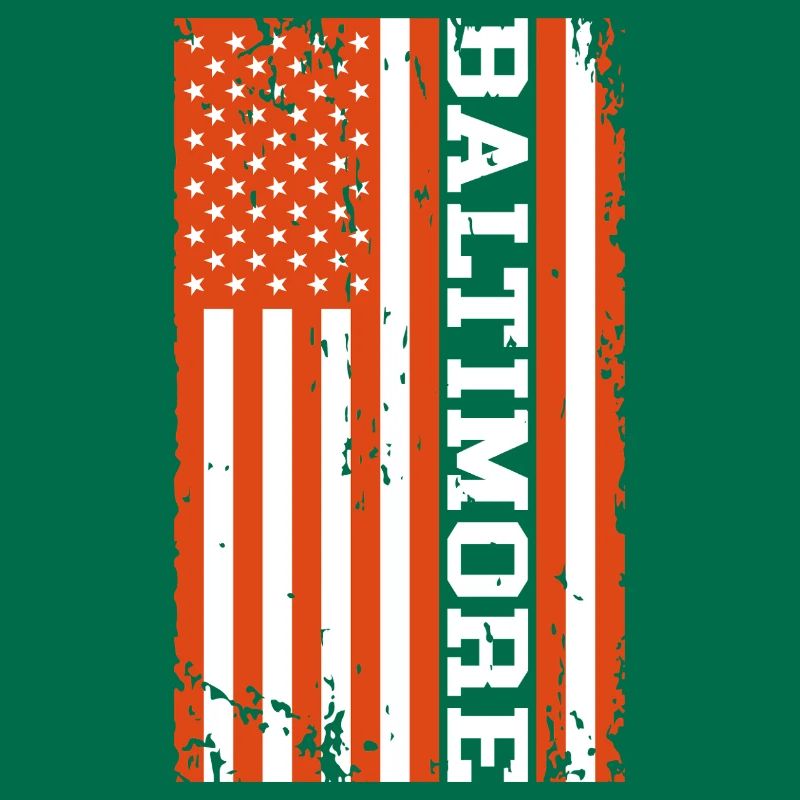 Baltimore US Flag