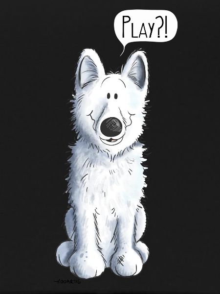 Playing White Shepherd - Chien - Chiens