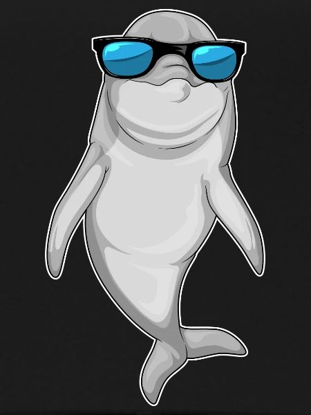 Dolphin Sunglasses