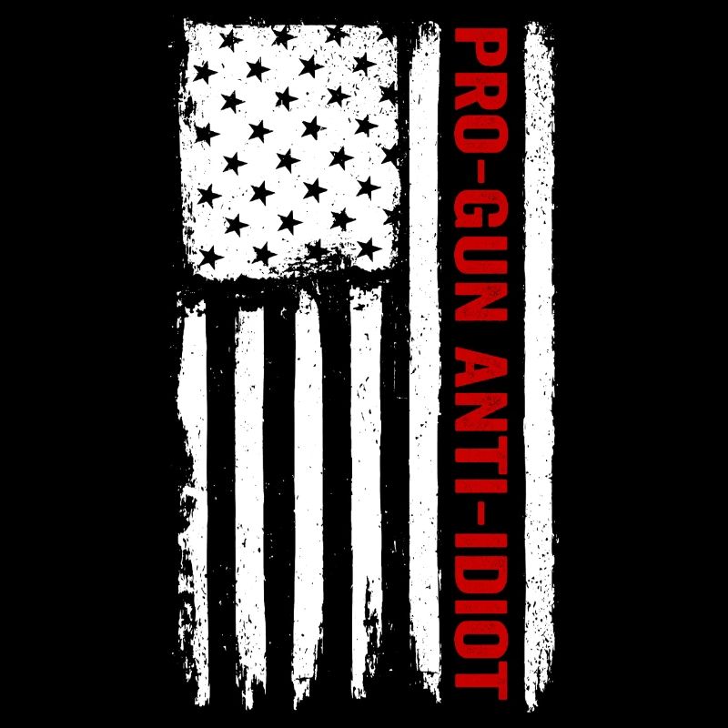 Pro-guns, anti-idiot