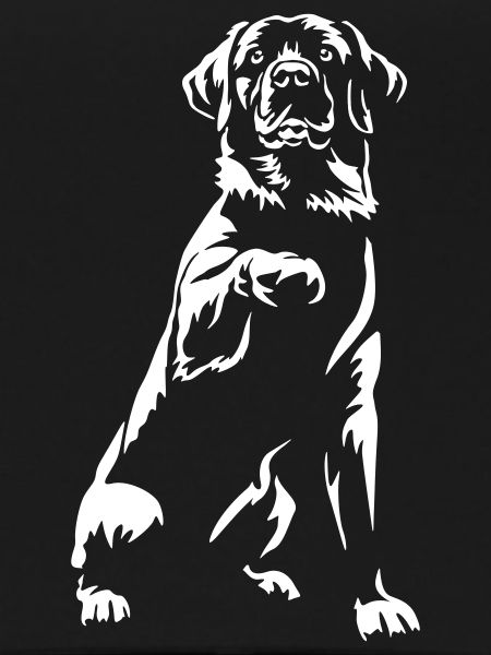 Labrador "Black Edition"